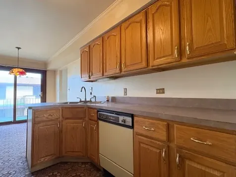 10355 Parkside Avenue Oak Lawn IL 60453