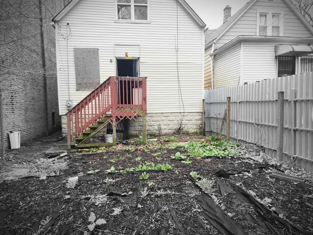 6953 South Elizabeth Street Chicago IL 60636