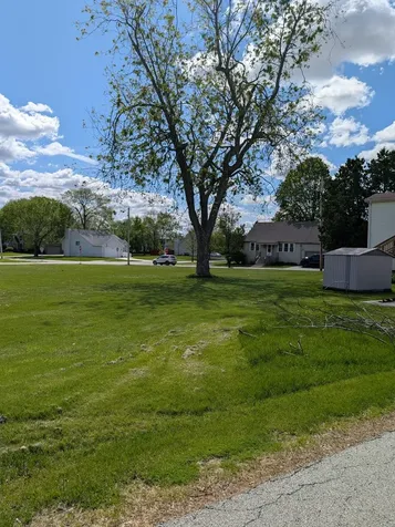 5448 West Mill Street Monee IL 60449