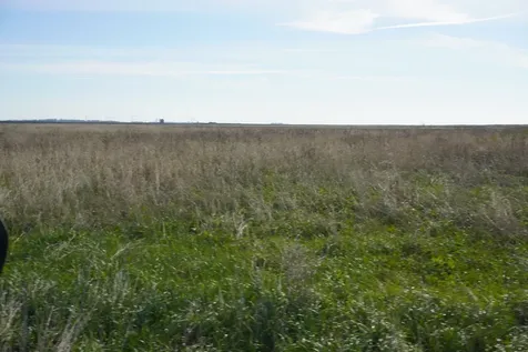 102 acres +/- East 1900 North Road Cullom IL 60929