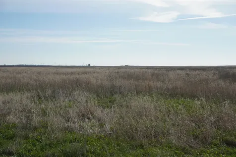 102 acres +/- East 1900 North Road Cullom IL 60929