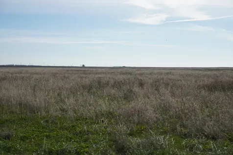 102 acres +/- East 1900 North Road Cullom IL 60929