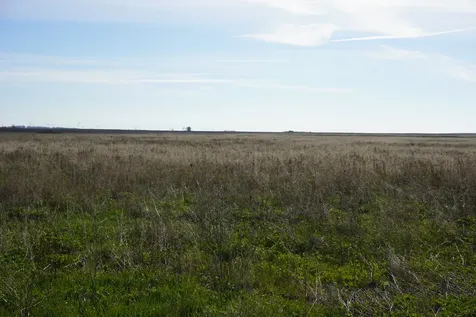 102 acres +/- East 1900 North Road Cullom IL 60929