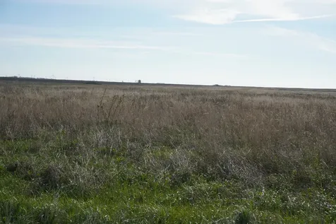 102 acres +/- East 1900 North Road Cullom IL 60929