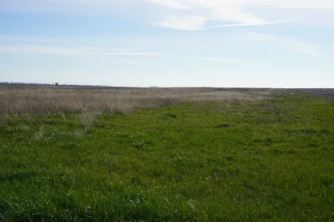 102 acres +/- East 1900 North Road Cullom IL 60929