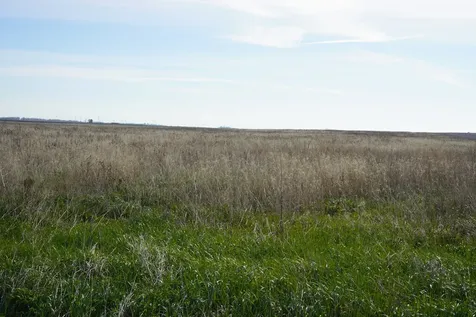 102 acres +/- East 1900 North Road Cullom IL 60929
