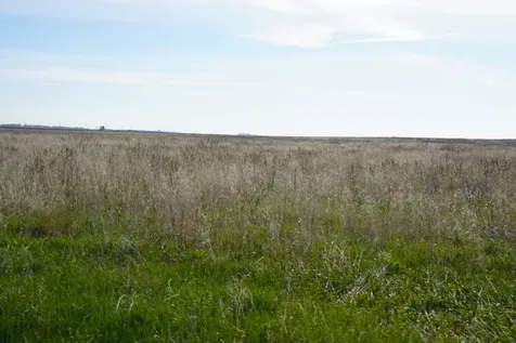 102 acres +/- East 1900 North Road Cullom IL 60929