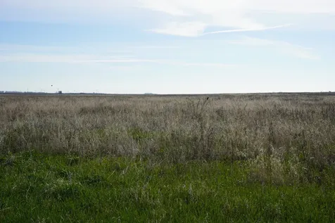 102 acres +/- East 1900 North Road Cullom IL 60929