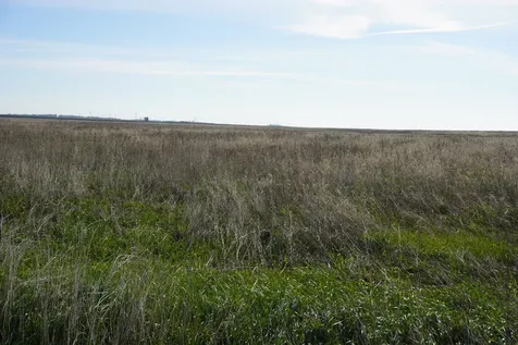 102 acres +/- East 1900 North Road Cullom IL 60929