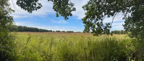 5N890 Surrey Road Wayne IL 60184