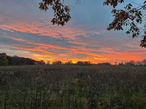 5N890 Surrey Road Wayne IL 60184