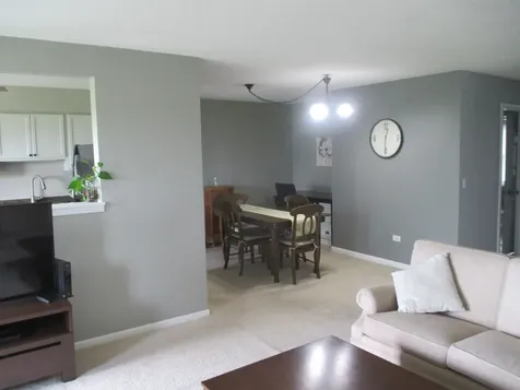 544 Elizabeth Drive Wood Dale IL 60191