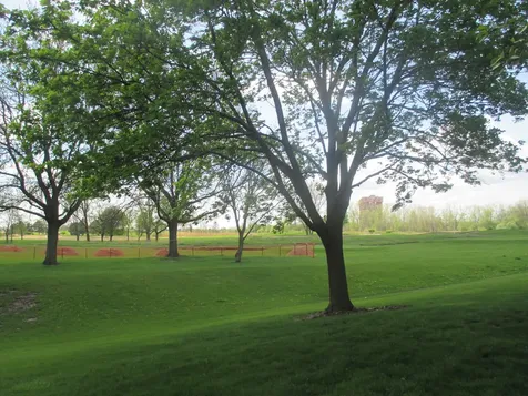 544 Elizabeth Drive Wood Dale IL 60191