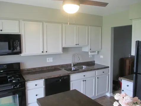 544 Elizabeth Drive Wood Dale IL 60191