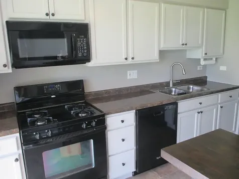 544 Elizabeth Drive Wood Dale IL 60191