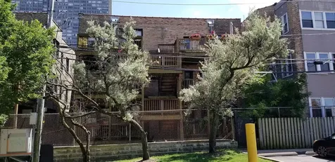 718 West Bittersweet Place Chicago IL 60613