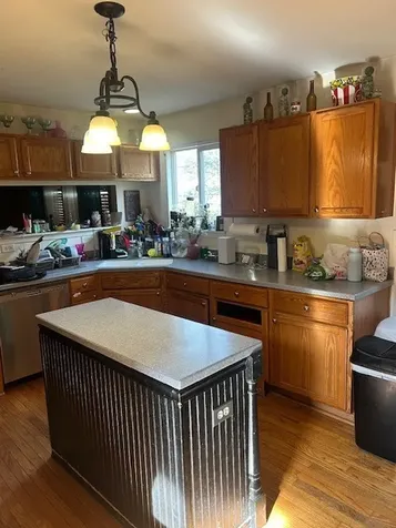 1361 South Janice Lane Round Lake IL 60073