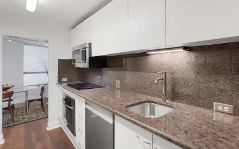 110 East Delaware Place Chicago IL 60611