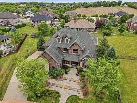 16116 Sandy Banks Court Homer Glen IL 60491