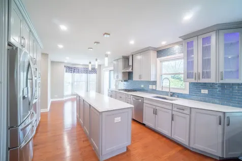 465 Thacker Court Schaumburg IL 60173