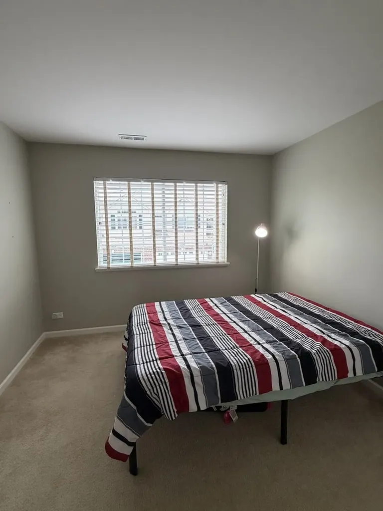 10097 Cummings Street Huntley IL 60142