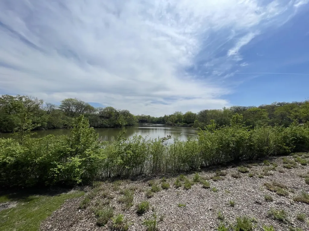5544 E Lake Drive Lisle IL 60532