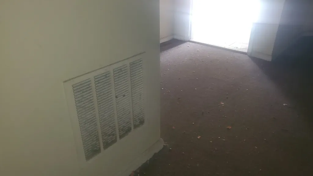 5258 South Emerald Avenue Chicago IL 60609