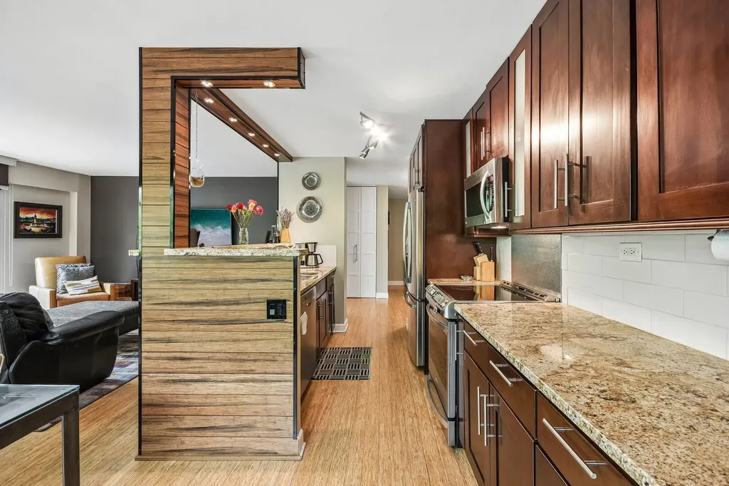 1115 South Plymouth Court Chicago IL 60605
