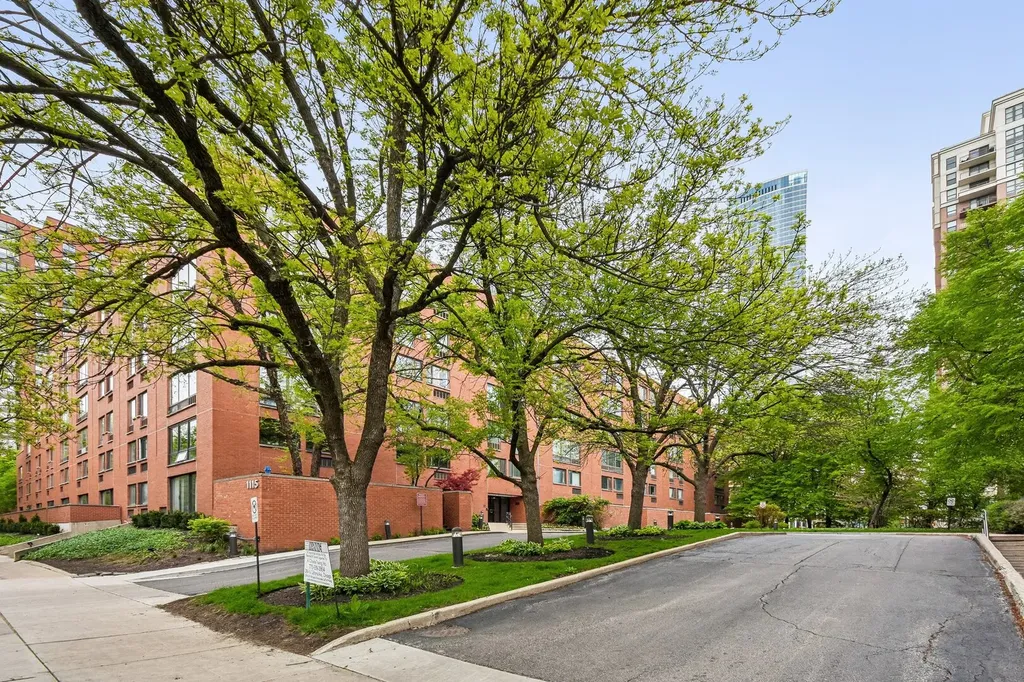 1115 South Plymouth Court Chicago IL 60605