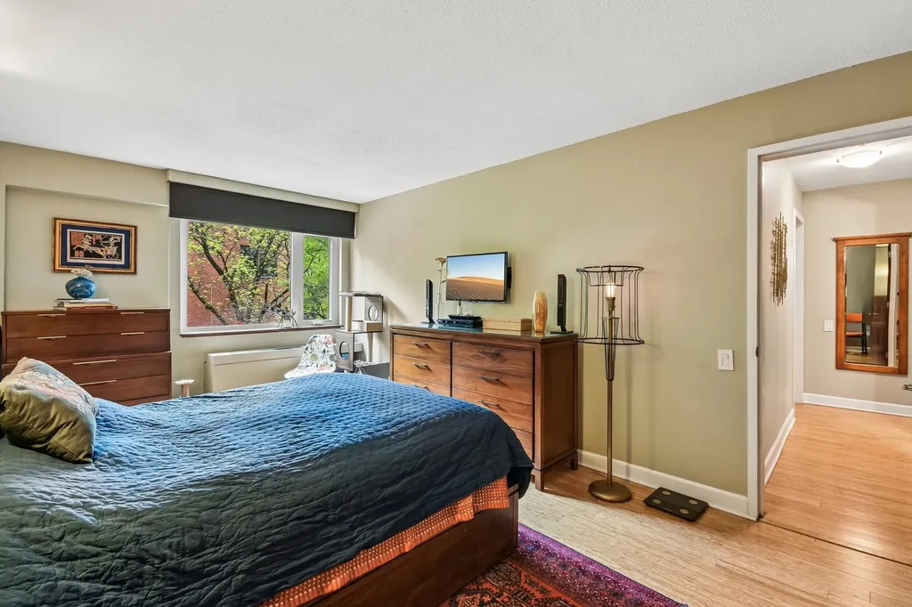 1115 South Plymouth Court Chicago IL 60605