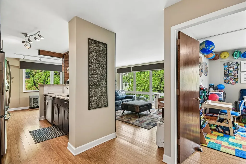 1115 South Plymouth Court Chicago IL 60605