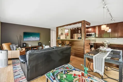 1115 South Plymouth Court Chicago IL 60605
