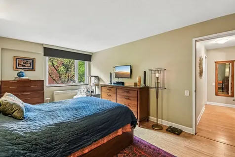 1115 South Plymouth Court Chicago IL 60605