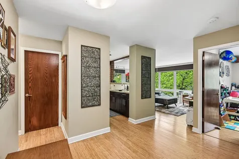 1115 South Plymouth Court Chicago IL 60605