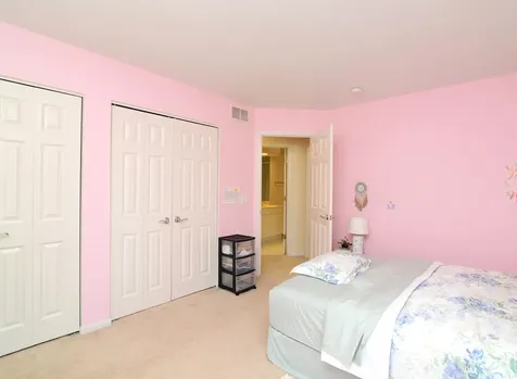 205 Taylor Court Buffalo Grove IL 60089