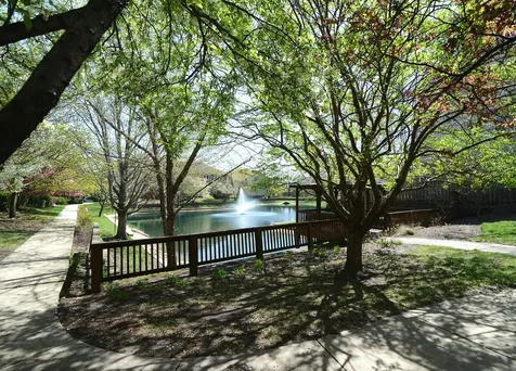 205 Taylor Court Buffalo Grove IL 60089