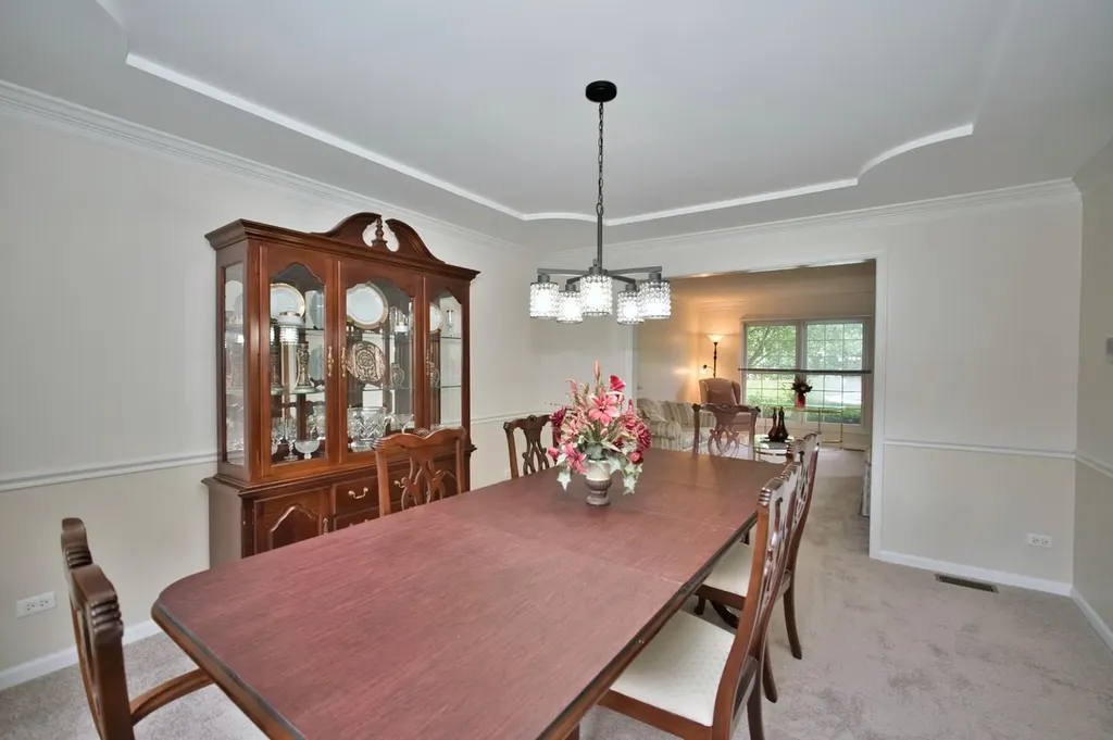 114 Rhine Avenue Bolingbrook IL 60490