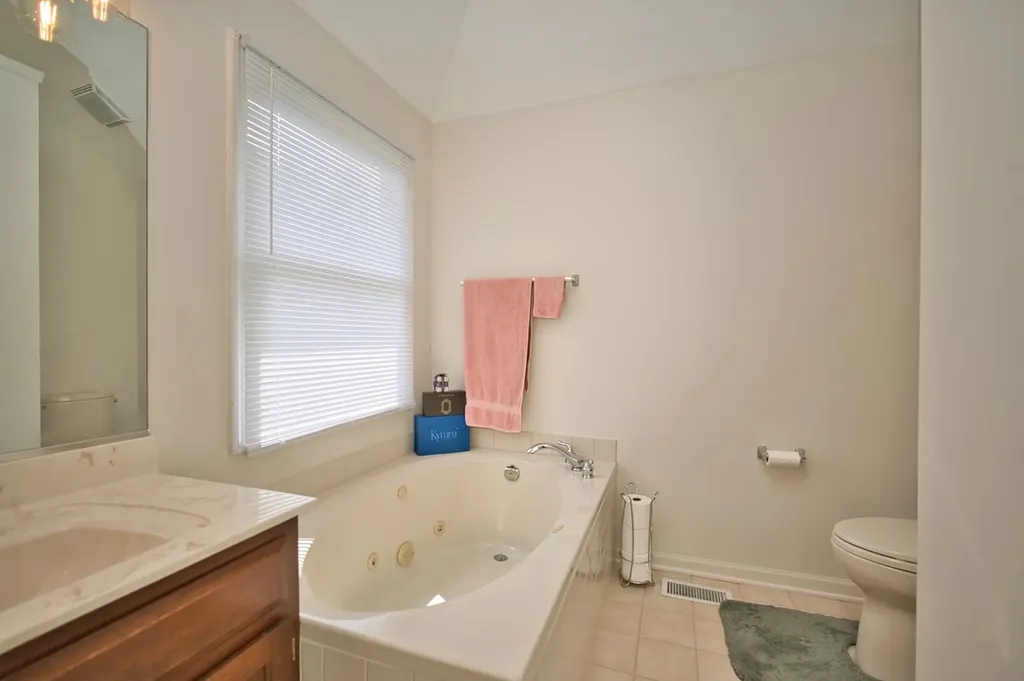 114 Rhine Avenue Bolingbrook IL 60490