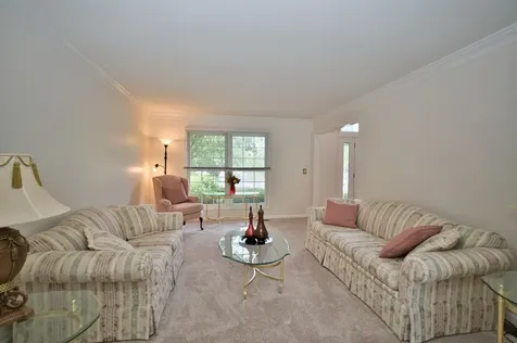 114 Rhine Avenue Bolingbrook IL 60490