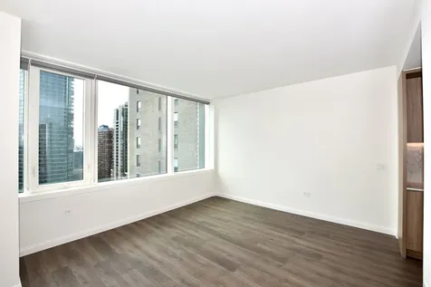 1000 South Michigan Avenue Chicago IL 60605