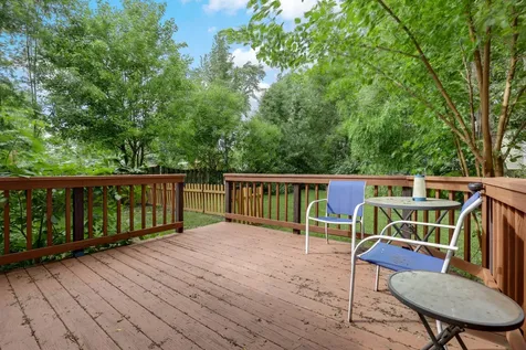 1117 Wishing Well Lane Naperville IL 60564