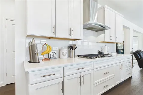 1110 Williamsbury Drive Crystal Lake IL 60012