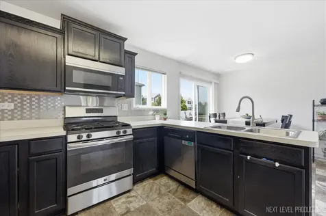 1668 Ruby Drive Pingree Grove IL 60140