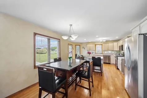 14100 West Anne K Drive Homer Glen IL 60491