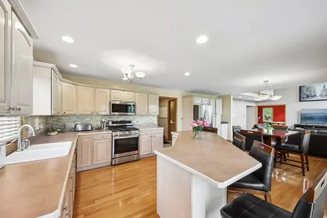 14100 West Anne K Drive Homer Glen IL 60491