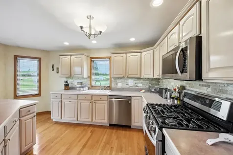 14100 West Anne K Drive Homer Glen IL 60491