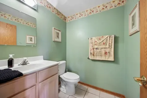 14100 West Anne K Drive Homer Glen IL 60491