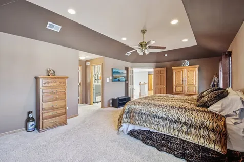 14100 West Anne K Drive Homer Glen IL 60491
