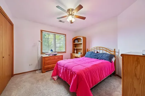 14100 West Anne K Drive Homer Glen IL 60491