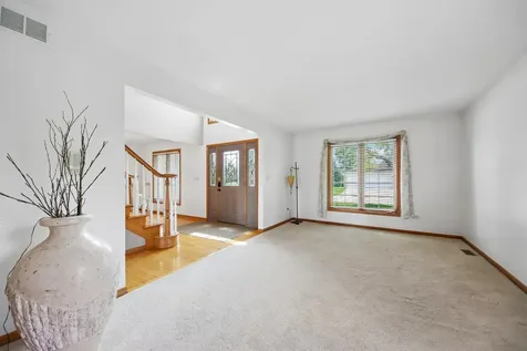 14100 West Anne K Drive Homer Glen IL 60491